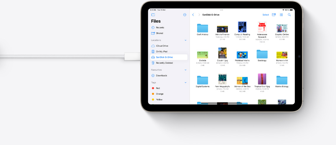 Files on iPad mini in landscape view connected to a USB-C cable.
